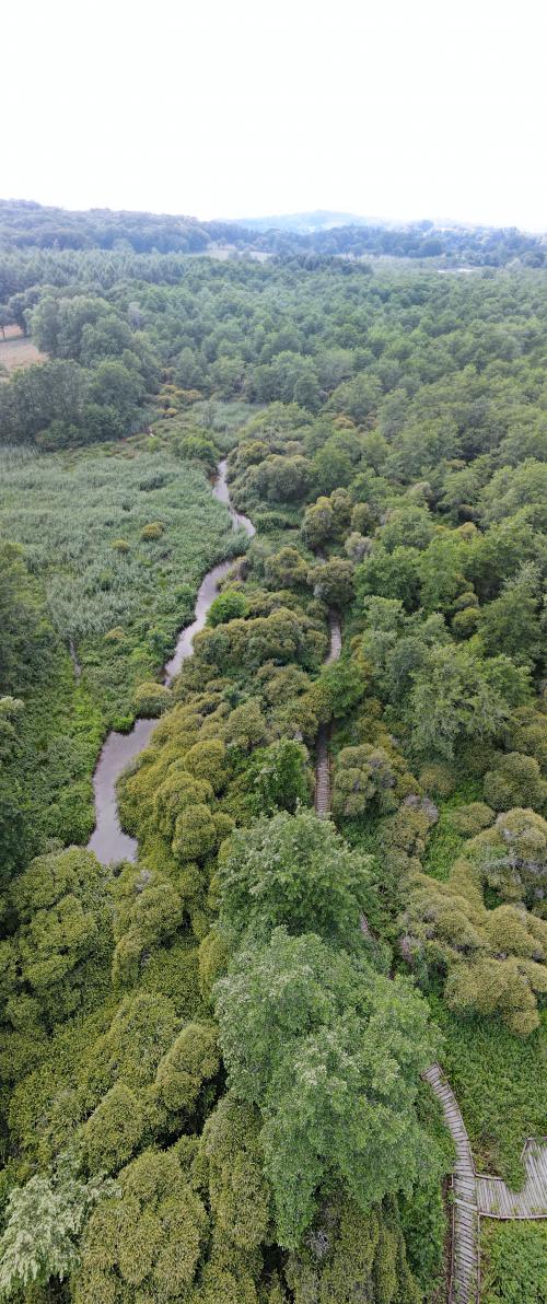 DJI_3056.JPG